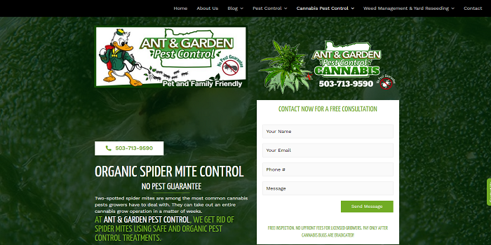 Everything you need to know about weed spider mites!!